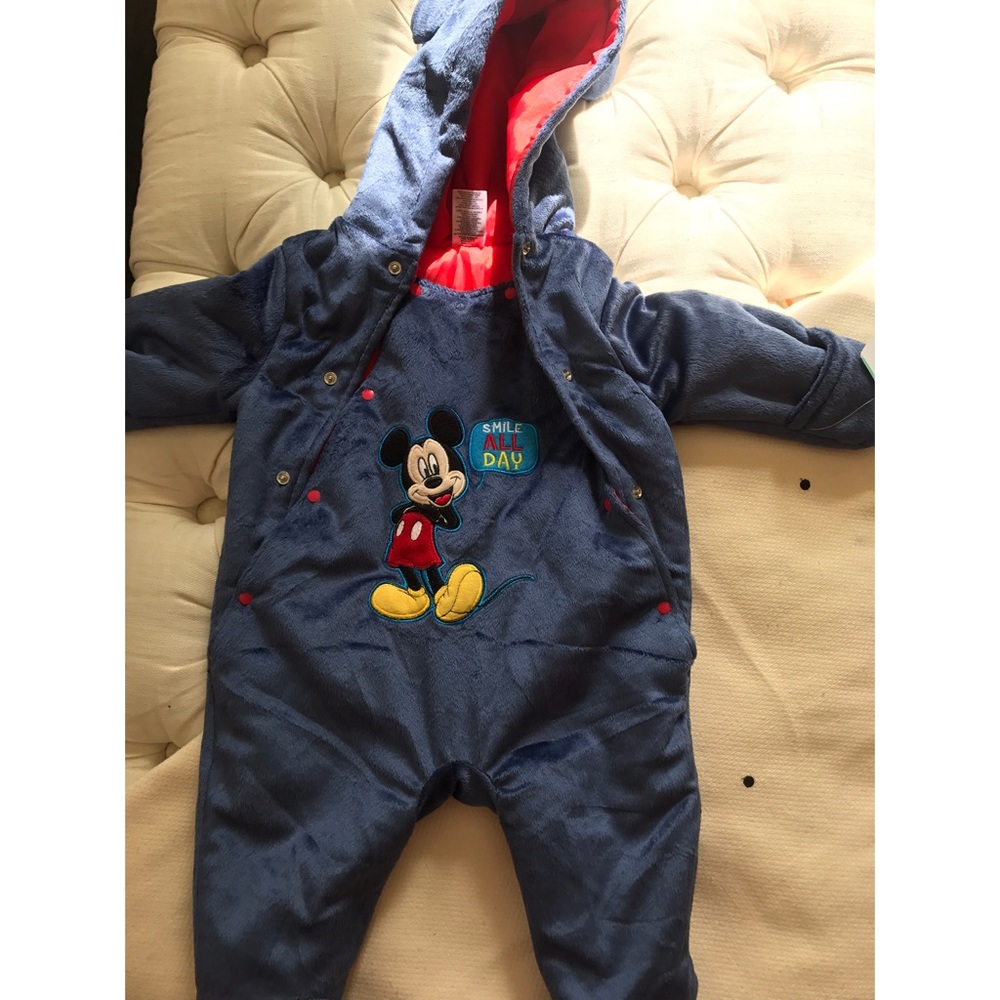 Mickey Mouse Bunting